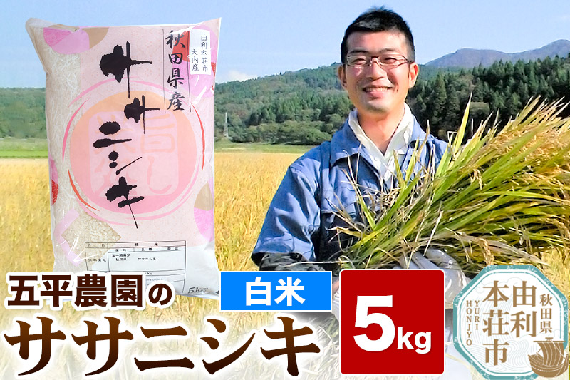 【白米】ササニシキ 令和6年産 秋田県産 五平農園のササニシキ 5kg