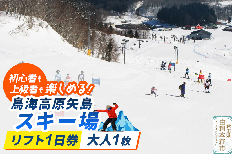 鳥海高原矢島スキー場 リフト1日券 大人1枚【営業期間：2025年12月〜2026年3月】＜簡易書留＞