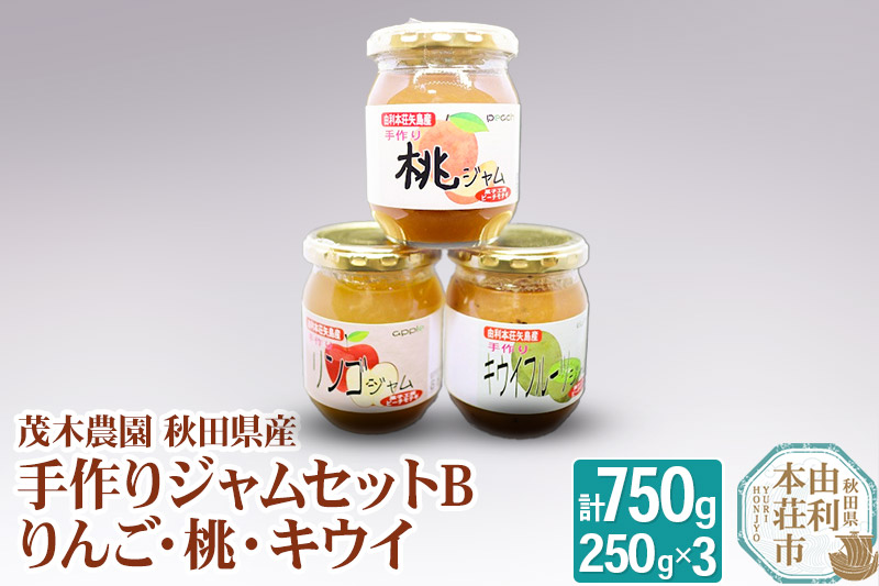 茂木農園 秋田県産 手作りジャムセットB 合計750g（りんご、桃、キウイ 各250g）