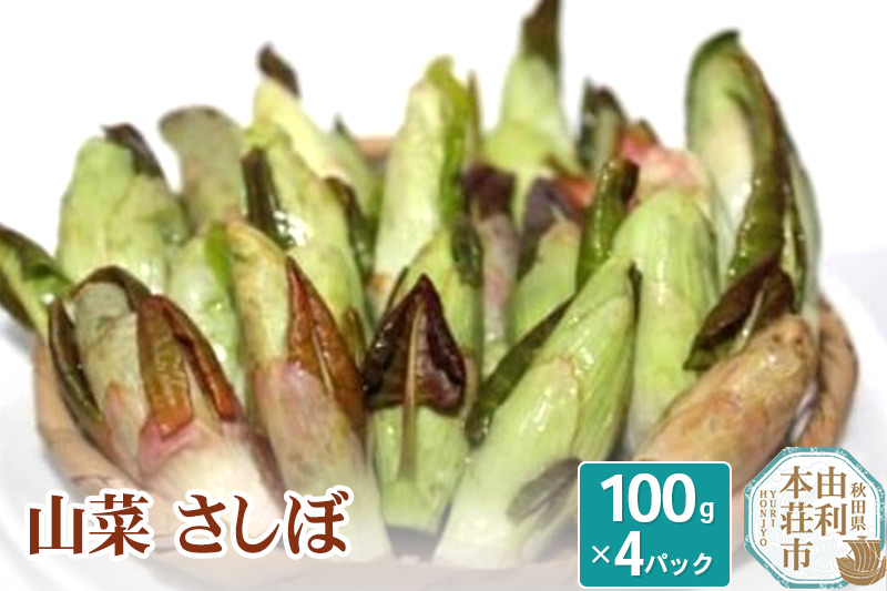 山菜 さしぼ 100g×4パック（発送は4月〜5月頃）