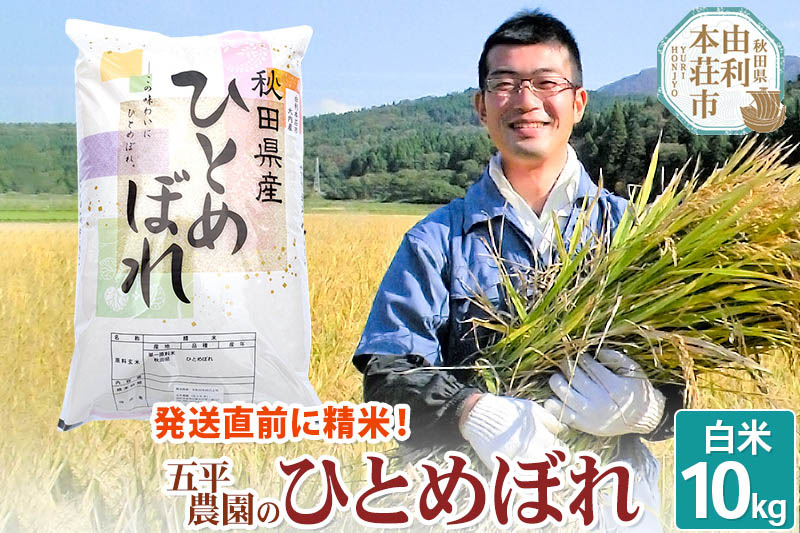 【白米】ひとめぼれ 令和6年産 秋田県産 五平農園のひとめぼれ 10kg