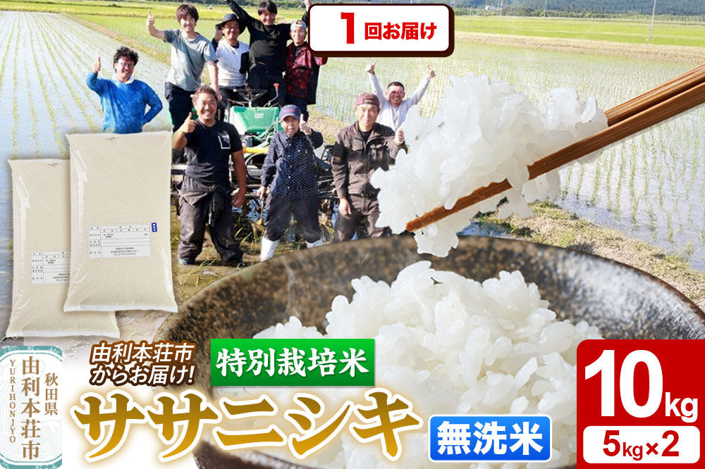 令和7年産【無洗米】特別栽培米 ササニシキ 10kg（5kg×2袋）秋田県産 [ササニシキ 米 お米 白米 精米 無洗米 特別栽培米 ブランド米 食卓 秋田県産 秋田県 由利本荘市]