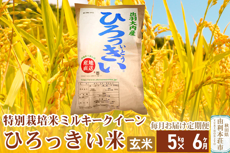 《定期便6ヶ月》【新米予約】【玄米】 秋田県産 ミルキークイーン 5kg 令和6年産 ひろっきい米