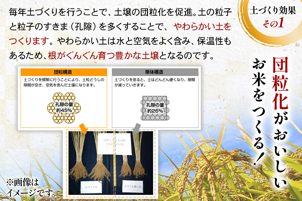 【白米】《定期便》 10kg (5kg袋小分け) ×8回 令和7年産 ひとめぼれ 土作り実証米 合計80kg 秋田県産