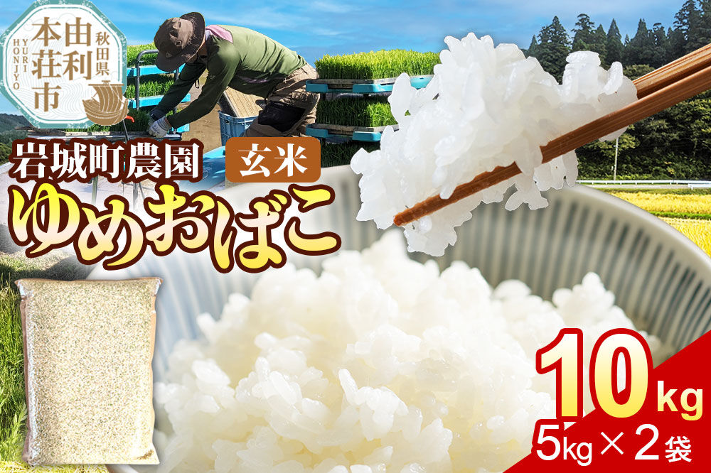 【玄米】ゆめおばこ 秋田県産 岩城町農園のゆめおばこ 10kg（5kg×2袋）令和7年産 真空パック [ゆめおばこ 米 お米 こめ 玄米 食卓 ご飯 ごはん おにぎり 秋田県 由利本荘市]