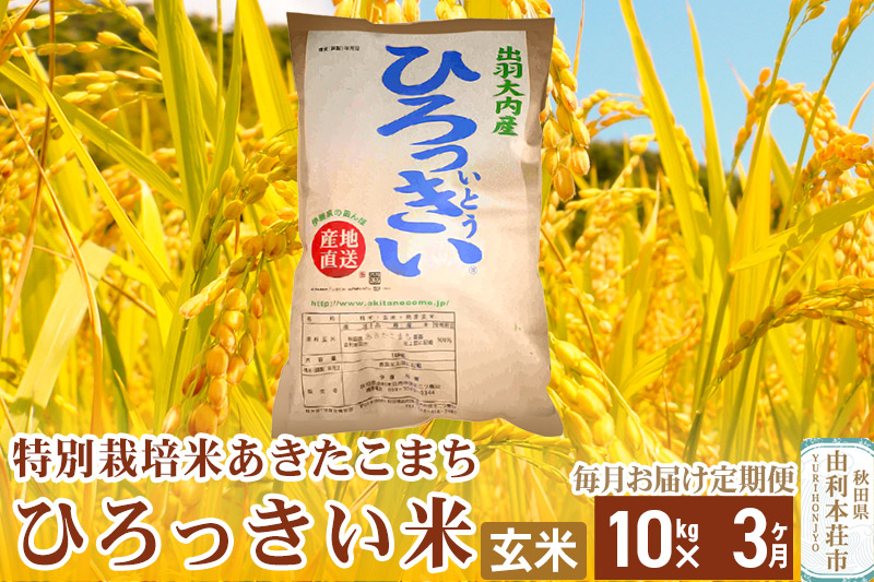 《定期便3ヶ月》【新米予約】【玄米】 秋田県産 あきたこまち 10kg 令和6年産 特別栽培米 ひろっきい米