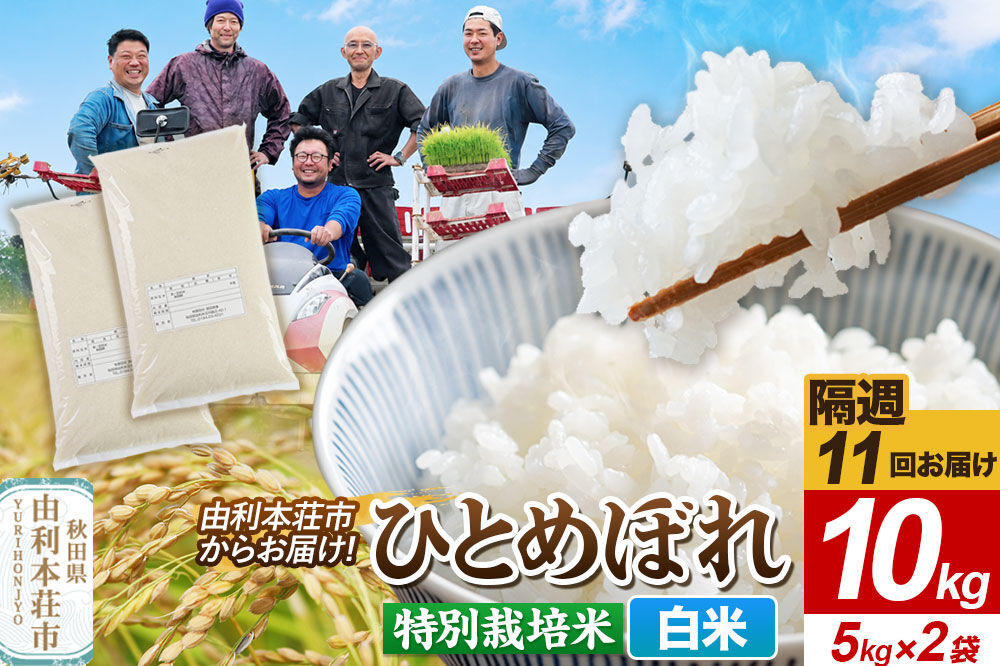 《2週間毎お届け》【定期便11回】令和8年産 新米受付【白米】ひとめぼれ 10kg（5kg×2袋）特別栽培米   秋田県産 [ひとめぼれ 新米予約 米 お米 白米 精米 特別栽培米 ブランド米 食卓 おにぎり 秋田県産 秋田]