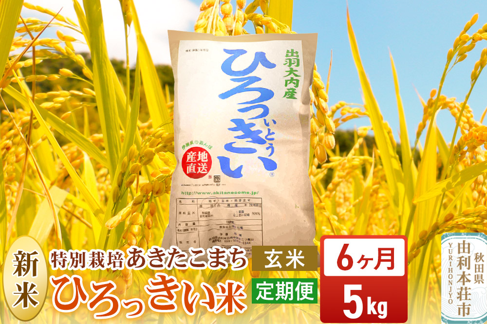 《定期便6ヶ月》【玄米】 秋田県産 あきたこまち 5kg 令和7年産 特別栽培米 ひろっきい米
