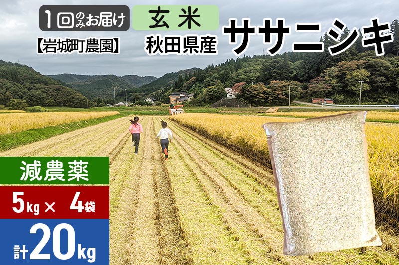 【玄米】〈減農薬〉秋田県由利本荘市産 ササニシキ 20kg(5kg×4袋) 令和6年産 新鮮パック 低農薬