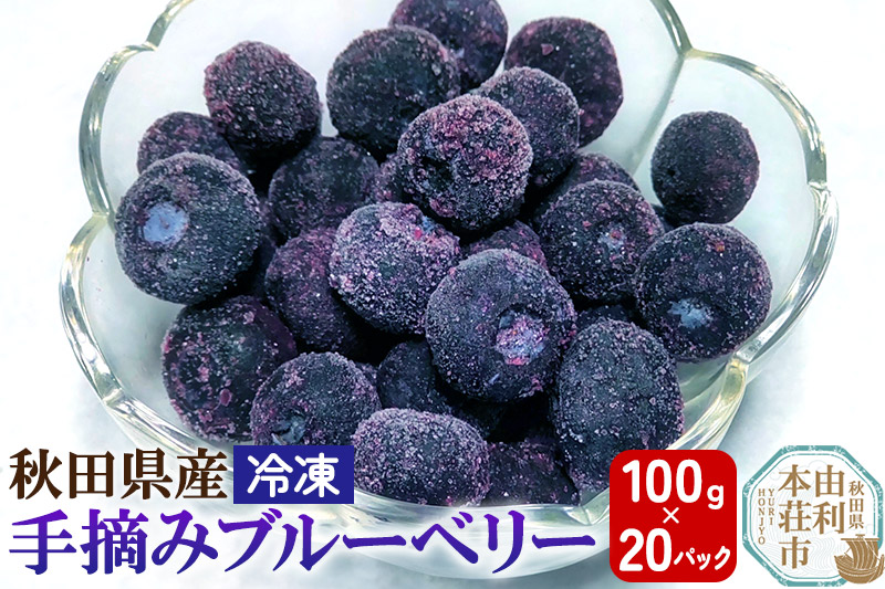 秋田県産 手摘み冷凍ブルーベリー 100g×20パック