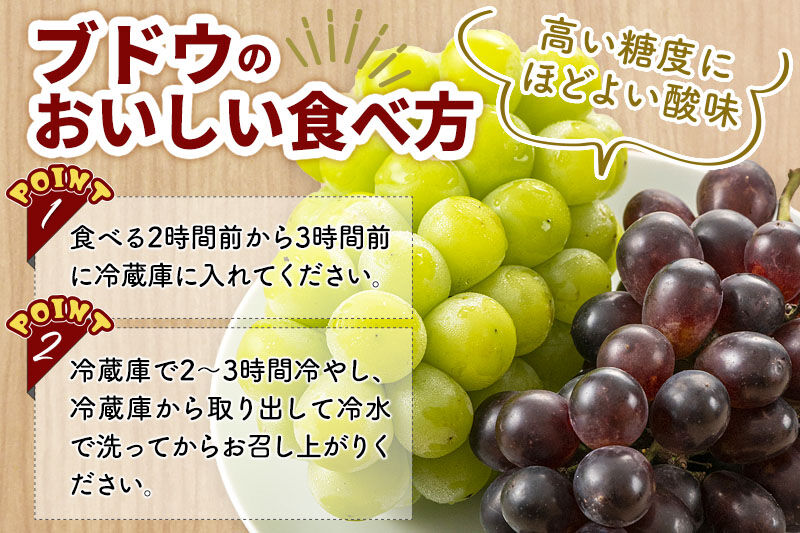 《先行受付》シャインマスカット・ピオーネ・クイーンニーナ 3房セット（合計約1.5kg）秋田県 由利本荘市産 八紘園 [葡萄 ブドウ ぶどう フルーツ 果物 スイーツ 食べ比べ セット シャインマスカット ピオーネ クイーンニーナ みずみずしい 芳醇な香り]
