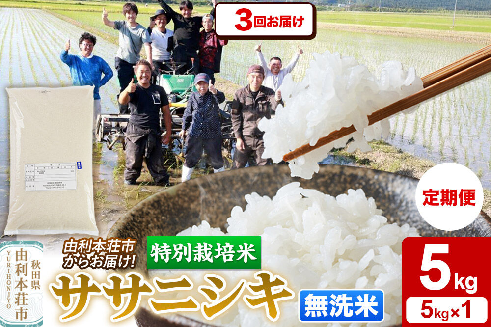 《定期便3ヶ月》令和7年産【無洗米】特別栽培米 ササニシキ 5kg 秋田県産 [ササニシキ 米 お米 白米 精米 無洗米 特別栽培米 ブランド米 食卓 秋田県産 秋田県 由利本荘市]