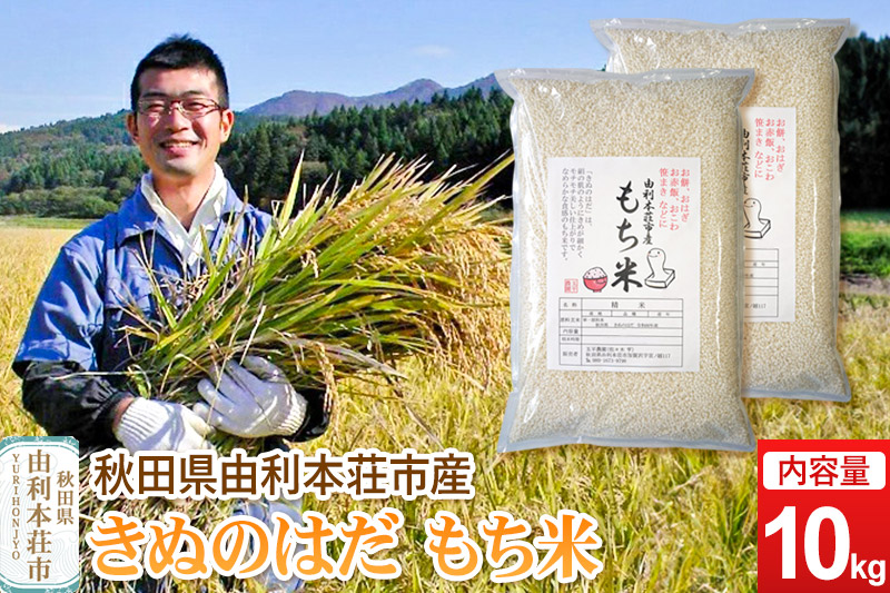 《予約受付》令和7年産【もち米】 10kg（5kg×2袋） 秋田県 由利本荘市産 きぬのはだ 精米 10kg