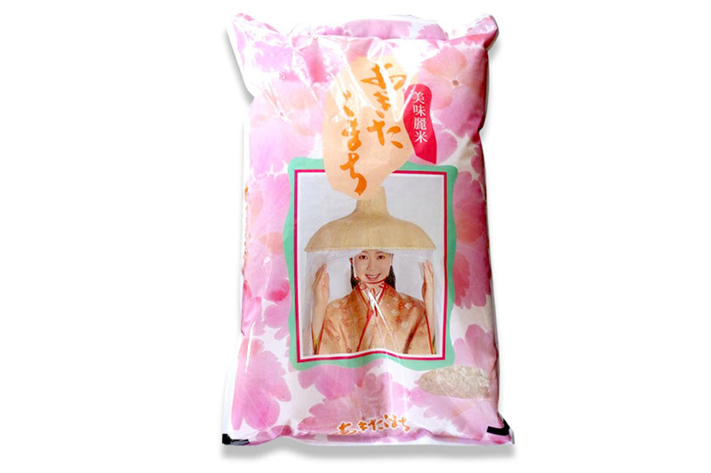 《令和7年産》【精米】あきたこまち 10kg 秋田県産 茂木農園のあきたこまち ブランド米 銘柄米 米どころ