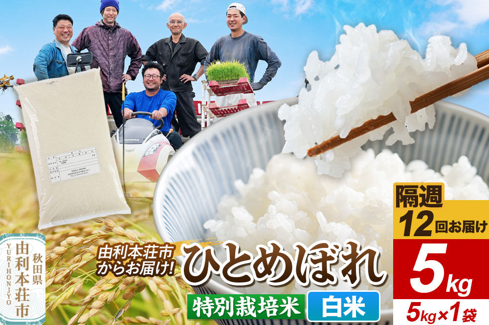 《2週間毎お届け》【定期便12回】令和8年産 新米受付【白米】ひとめぼれ 5kg（5kg×1袋）特別栽培米 秋田県産 [ひとめぼれ 新米予約 米 お米 白米 精米 特別栽培米 ブランド米 食卓 おにぎり 秋田県産 秋田]