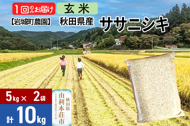《令和7年産》【玄米】ササニシキ 10kg(5kg×2袋) 秋田県 由利本荘市産 令和7年産 真空パック 岩城町農園