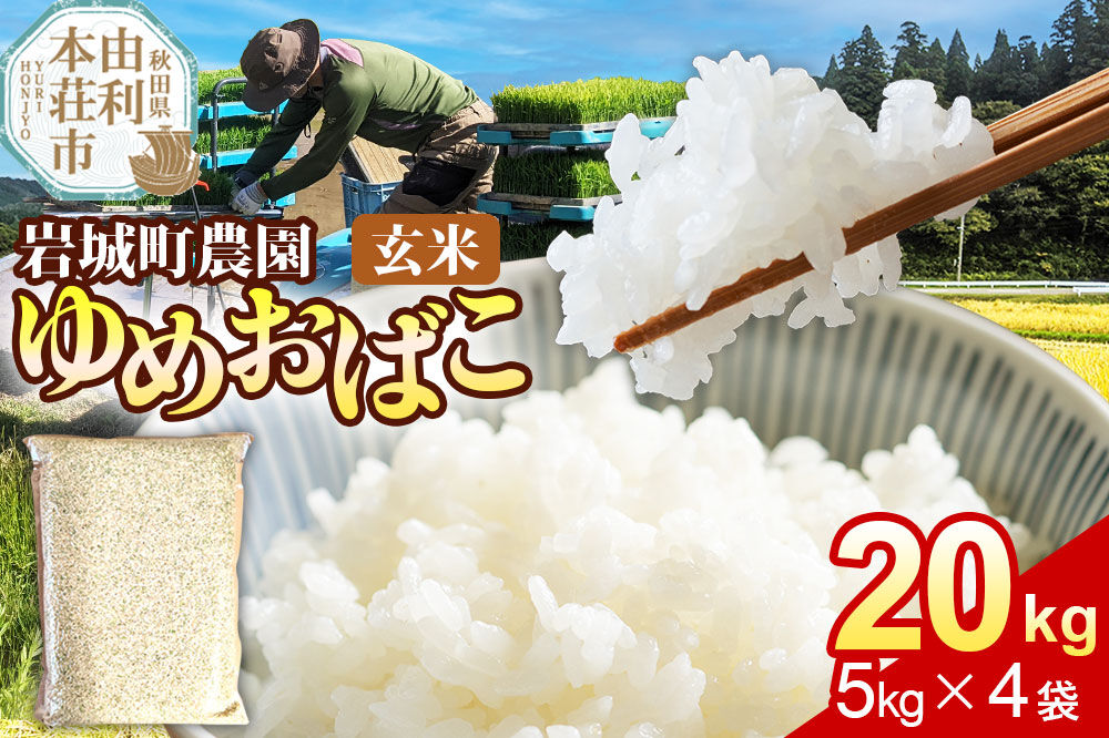 【玄米】ゆめおばこ 秋田県産 岩城町農園のゆめおばこ 20kg（5kg×4袋）令和7年産 真空パック [ゆめおばこ 米 お米 こめ 玄米 食卓 ご飯 ごはん おにぎり 秋田県 由利本荘市]