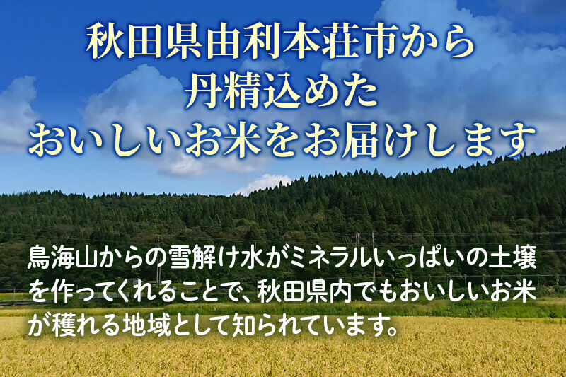 【玄米】 ＜通算5回 特A＞ ひとめぼれ 10kg 令和7年産 農家直送 渡部さんのひとめぼれ [ひとめぼれ 米 お米 こめ 玄米 ブランド米 食卓 おにぎり 秋田県産 秋田県 由利本荘市]