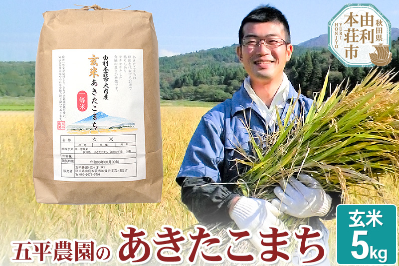 【玄米】あきたこまち 令和6年産 秋田県産 五平農園のあきたこまち 5kg