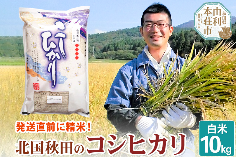 【白米】コシヒカリ10kg 令和7年産 秋田県産 北国秋田のコシヒカリ お米 米 こめ 五平農園