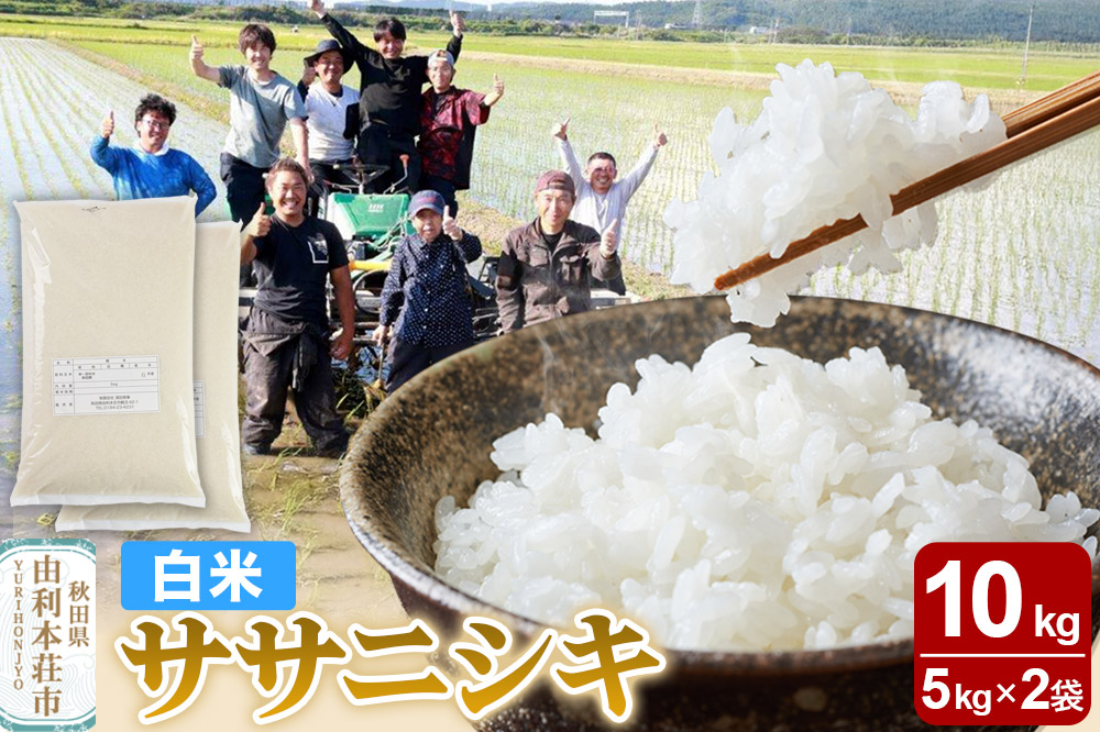 【白米】秋田県由利本荘市産 ササニシキ 10kg（5kg×2袋）令和6年産