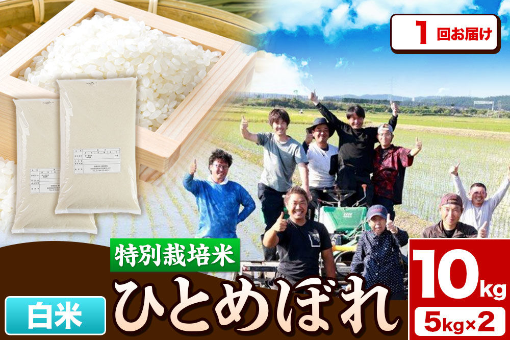 令和7年産【白米】特別栽培米 ひとめぼれ 10kg（5kg×2袋）秋田県産 [ひとめぼれ 米 お米 白米 精米 特別栽培米 ブランド米 食卓 秋田県産 秋田県 由利本荘市]