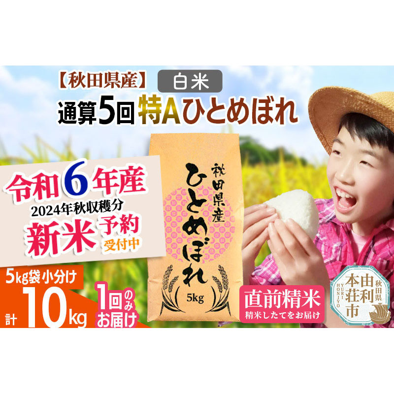 ※令和6年産 新米予約※《1回のみお届け》【白米】通算5回特A 秋田県産ひとめぼれ 計10kg (5kg×2袋)【2024年12月頃出荷予定】