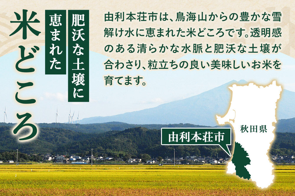 《定期便6ヶ月》令和7年産【無洗米】特別栽培米 ササニシキ 10kg（5kg×2袋）秋田県産 [ササニシキ 米 お米 白米 精米 無洗米 特別栽培米 ブランド米 食卓 秋田県産 秋田県 由利本荘市]
