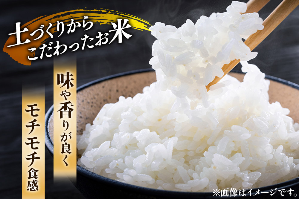 【白米】《定期便》 10kg (5kg袋小分け) ×12回 令和7年産 ひとめぼれ 土作り実証米 合計120kg 秋田県産