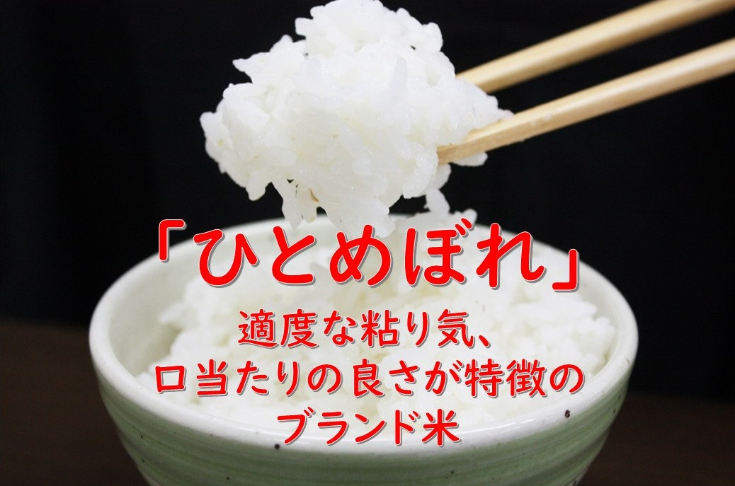 【白米】 1回のみ配送 5kg 令和6年産 ひとめぼれ 土作り実証米 秋田県産