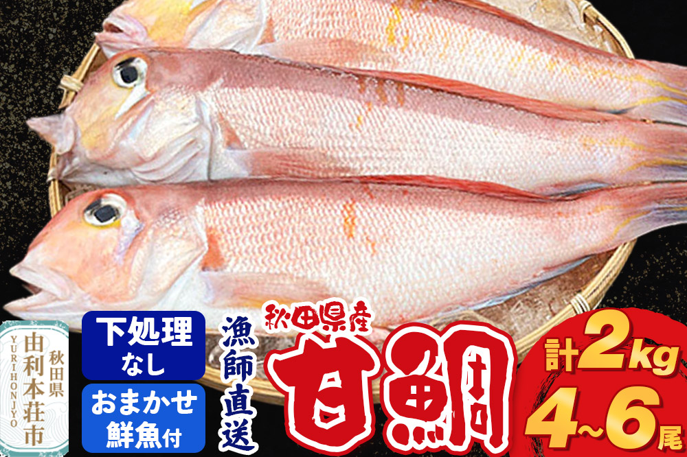 《予約受付》漁師直送 甘鯛（あまだい）2kg＋おまかせ鮮魚 秋田県産【下処理なし】