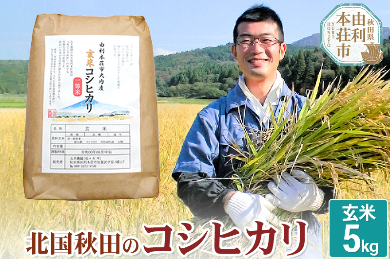 【玄米】コシヒカリ 令和6年産 秋田県産 北国秋田のコシヒカリ 5kg