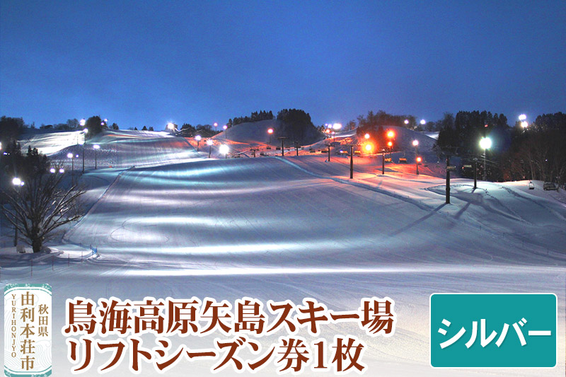 鳥海高原矢島スキー場 リフトシーズン券 シルバー(60歳以上) 1枚