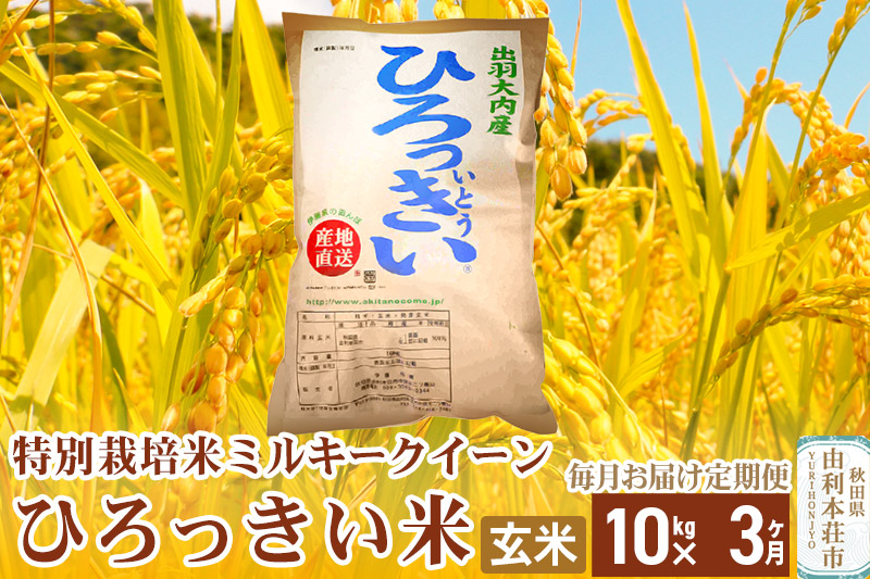 《定期便3ヶ月》【新米予約】【玄米】 秋田県産 ミルキークイーン 10kg 令和6年産 ひろっきい米