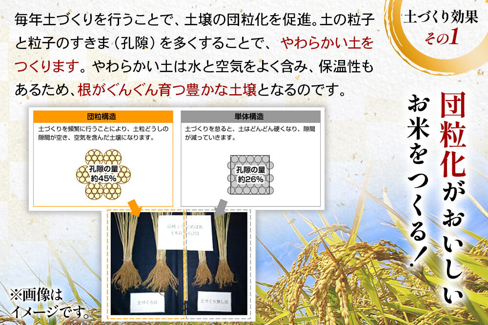 《令和8年産 新米受付》《定期便9ヶ月》【白米】あきたこまち 5kg×9回  土作り実証米 合計45kg 秋田県産 [あきたこまち 米 お米 こめ 白米 精米 ブランド米 食卓 おにぎり 秋田県産 国産 土作り実証米 おいしい 秋田県 由利本荘市]