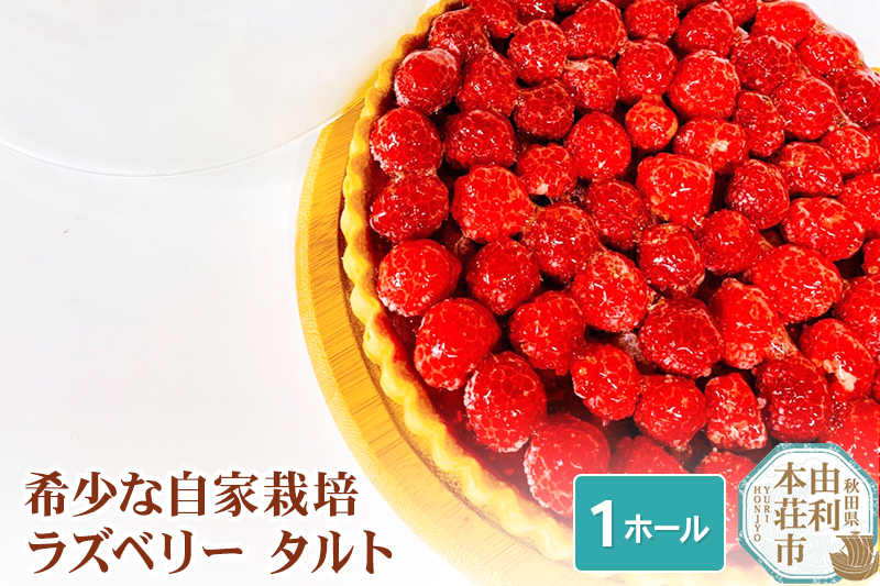 ラズベリータルト 自家栽培 １ホール(直径19cm)