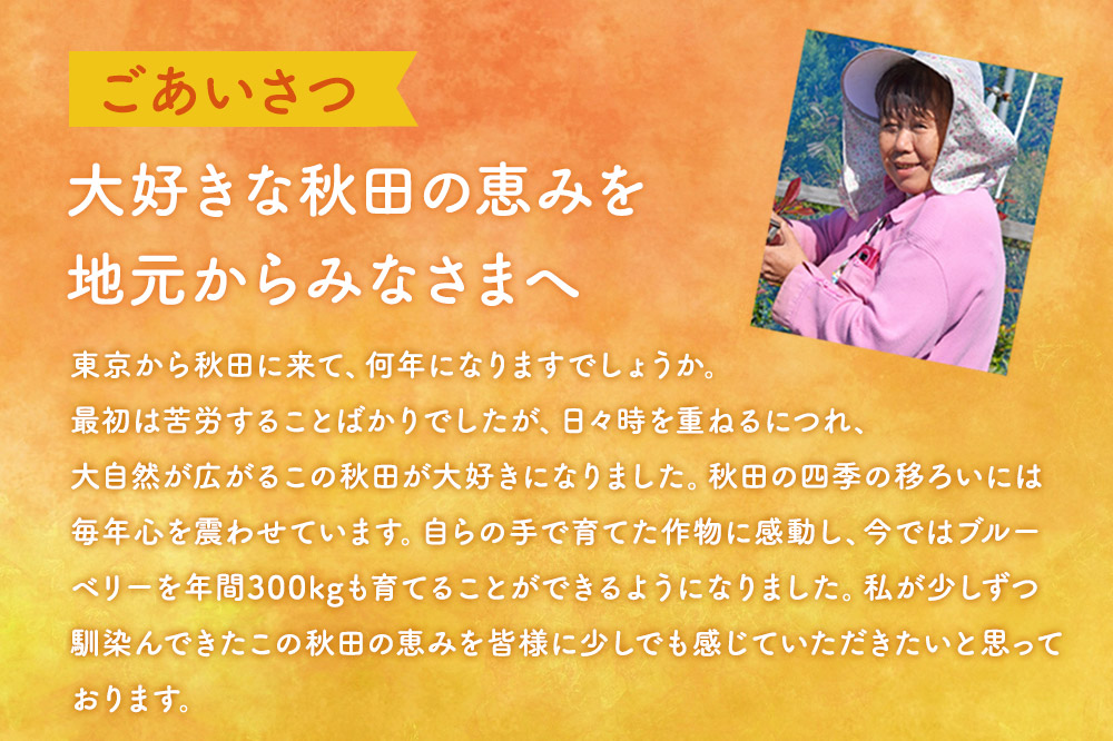 ラズベリータルト 自家栽培 １ホール(直径19cm)