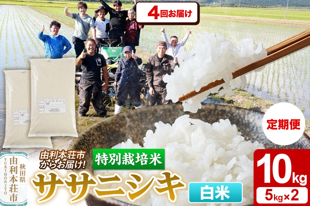 《定期便4ヶ月》令和7年産【白米】特別栽培米 ササニシキ 10kg（5kg×2袋） 秋田県産 [ササニシキ 米 お米 白米 精米 特別栽培米 ブランド米 食卓 秋田県産 秋田県 由利本荘市]