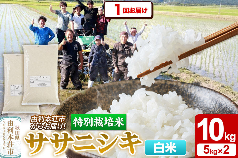【白米】特別栽培米 ササニシキ 10kg（5kg×2袋）令和7年産 [ササニシキ 米 お米 白米 精米 特別栽培米 ブランド米 食卓 秋田県産 秋田県 由利本荘市]