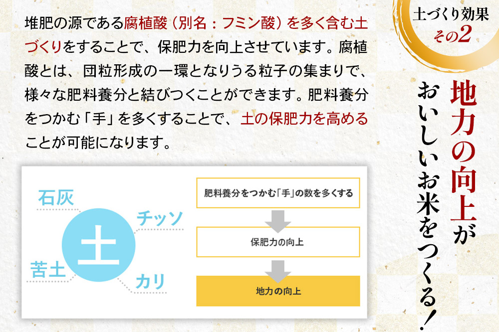 【白米】《定期便》 10kg (5kg袋小分け) ×5回 令和7年産 ひとめぼれ 土作り実証米 合計50kg 秋田県産