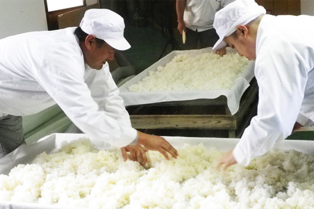 天寿酒造 日本酒 鳥海山Kセット 2本（純米大吟醸 鳥海山 、清澄辛口本醸造 鳥海山 各720ml）