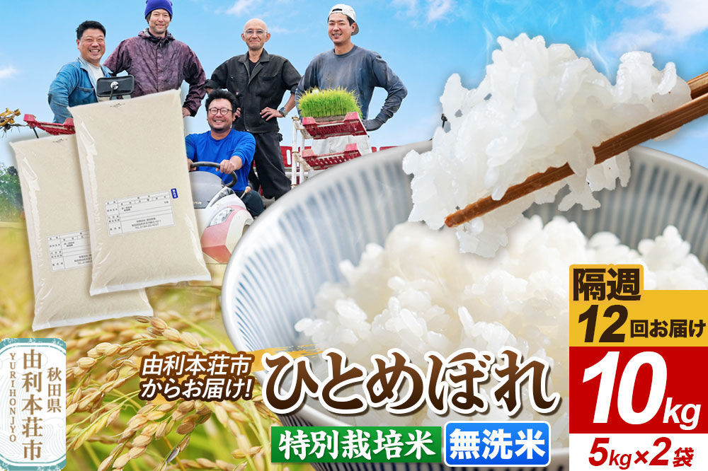 《2週間毎お届け》【定期便12回】ひとめぼれ【無洗米】10kg（5kg×2袋）令和7年産 特別栽培米 秋田県産 [ひとめぼれ 米 お米 無洗米 特別栽培米 ブランド米 食卓 おにぎり 秋田県産 秋田]
