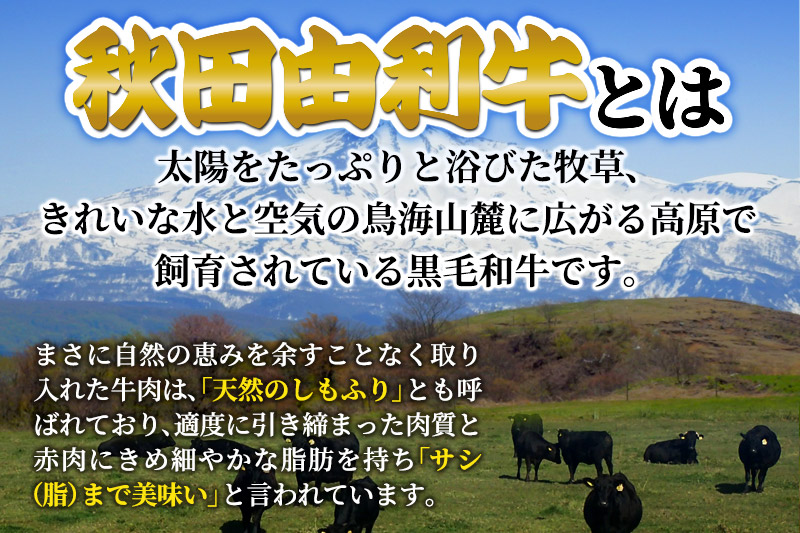 秋田由利牛の手づくりハンバーグと秋田米セット（ハンバーグ150g×3パック 米1合×2パック)