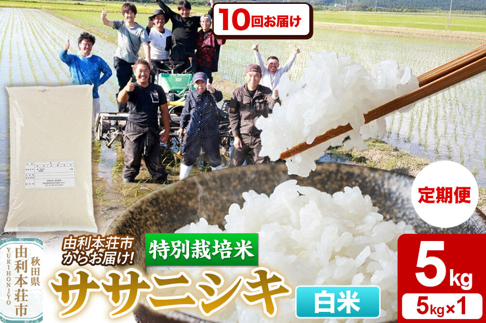 《定期便10ヶ月》令和7年産【白米】特別栽培米 ササニシキ 5kg 秋田県産 [ササニシキ 米 お米 白米 精米 特別栽培米 ブランド米 食卓 秋田県産 秋田県 由利本荘市]