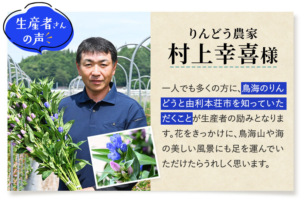 《先行受付》【10月上旬お届け】鳥海町産 りんどう 20本 ピンク バイカラー [りんどう リンドウ 竜胆 花 生花 仏花 切り花 ギフト 贈答 インテリア フラワー 秋田県 由利本荘市 鳥海町産]