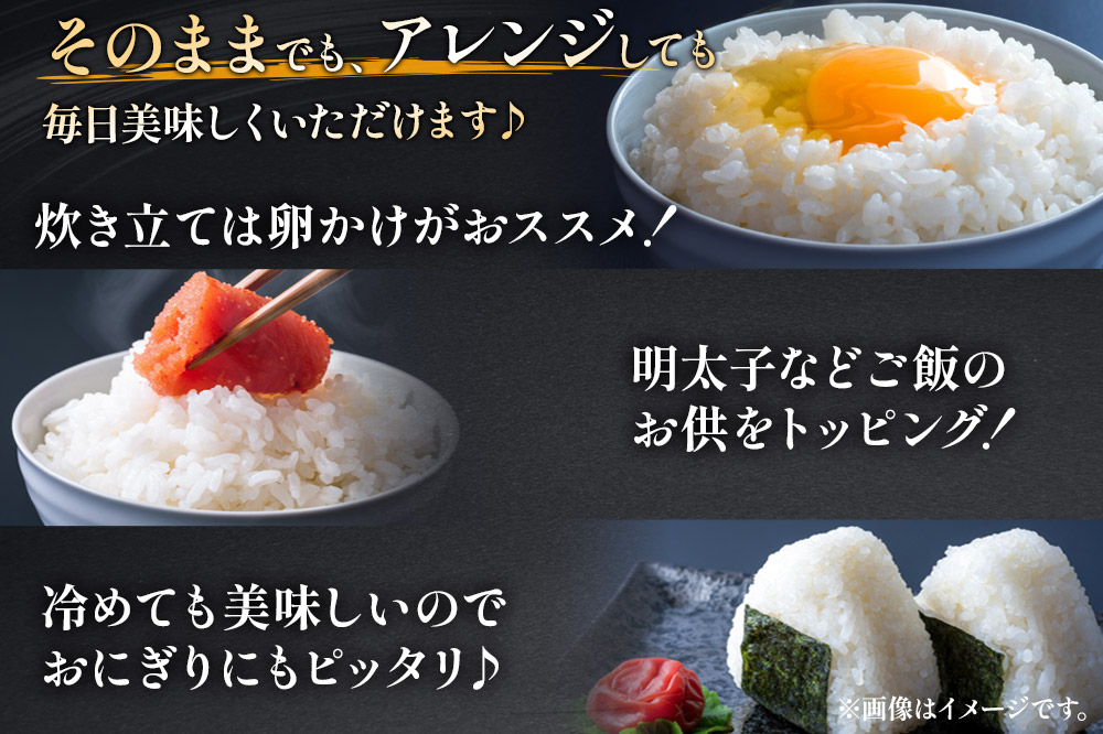【白米】《定期便》 10kg (5kg袋小分け) ×9回 令和7年産 ひとめぼれ 土作り実証米 合計90kg 秋田県産