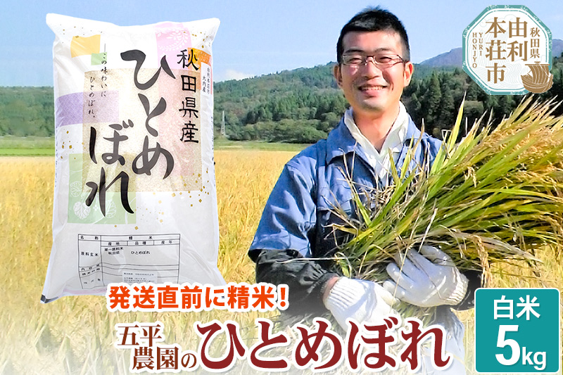 【白米】ひとめぼれ 令和6年産 秋田県産 五平農園のひとめぼれ 5kg