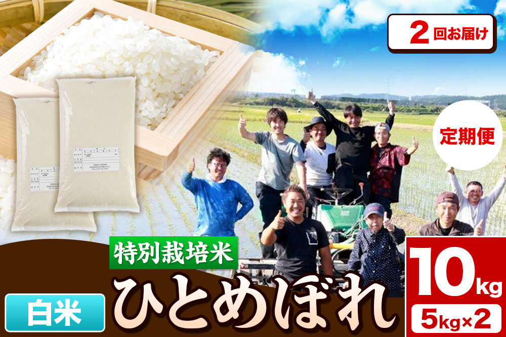 《定期便2ヶ月》令和7年産【白米】特別栽培米 ひとめぼれ 10kg（5kg×2袋）秋田県産 [ひとめぼれ 米 お米 白米 精米 特別栽培米 ブランド米 食卓 秋田県産 秋田県 由利本荘市]