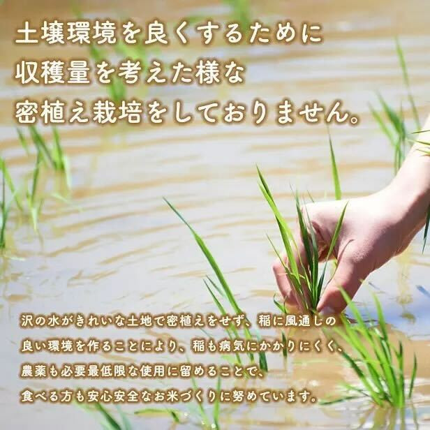 《 定期便 》 《令和6年産》 家計お助け米 あきたこまち 27kg × 6ヶ月 半年 米 一等米 訳あり 返礼品 こめ コメ 人気 おすすめ 5キロ 人気 おすすめ グルメ 故郷 ふるさと 納税 秋田 潟上市 一人暮らし