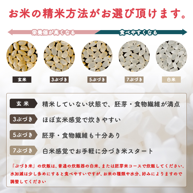 【定期便6回】【選べる精米方法：七分つき】令和6年産 選べる精米 あきたこまち 5kg × 6か月 6ヶ月半年 米 一等米 訳あり わけあり 返礼品 こめ コメ 5キロ 6回 グルメ 故郷 ふるさと 納税 秋田 潟上市 一人暮らし